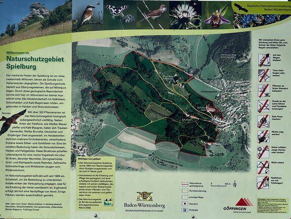 25-03-21 12-10-47 2476